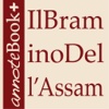 Salgari: 9. Il bramino dell’Assam