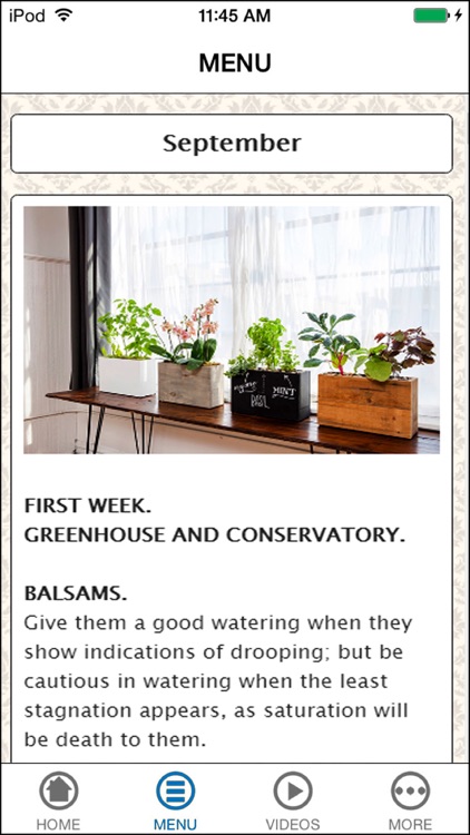Learn Indoor Gardening for Every Month of The Year screenshot-3