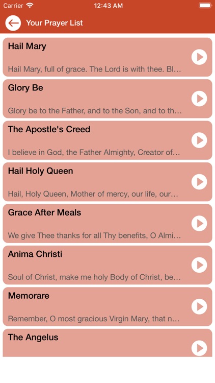 Prayers Hail Holy Queen screenshot-3