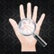 Palm Reading Premium is the most luxury professional palmistry and chirology software out there