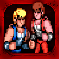 Activities of Double Dragon Trilogy