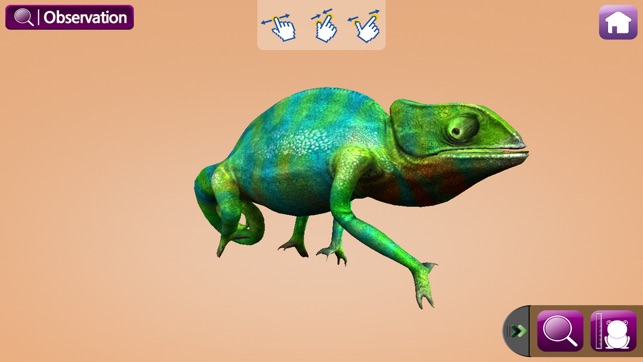 EVO HERPTILE - Augmented Reality(圖4)-速報App