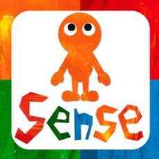 Activities of Sense