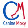 Canine Moxy