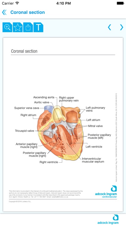 Cardio Mini Atlas App screenshot-3