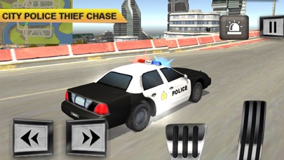 Crime Patrol Team Sim screenshot 2