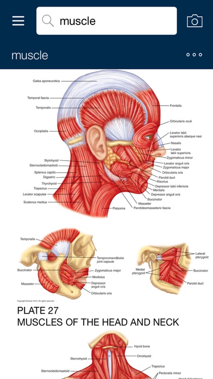 Dorland's Illustrated Medical Dictionary, Elsevier