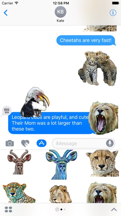 African Wild Animal Stickers