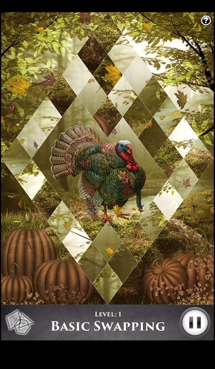 Hidden Scenes - Turkey Trot