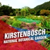 Kirstenbosch National Botanical Garden Tourism Guide