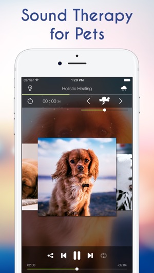 平靜的音樂為狗焦慮和療法為寵物(圖2)-速報App