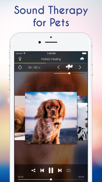 Calming Music for Dogs Anxiety and Therapy for Pet