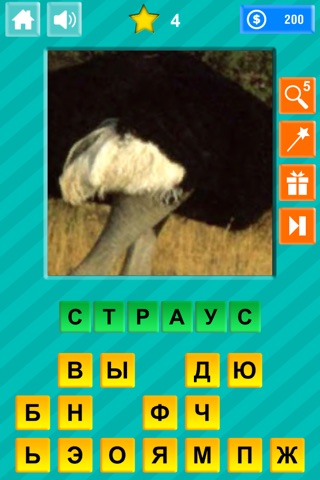 Close-up & Words - Animals Edition screenshot 4