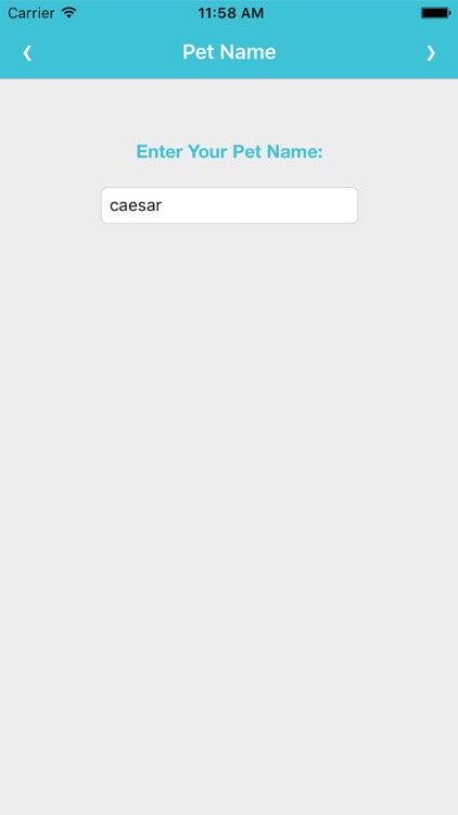 Pets Care App screenshot-4