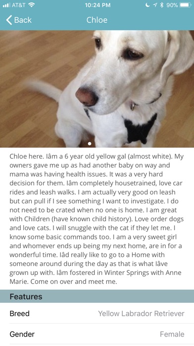 Pet Adoptions - CFO screenshot 4