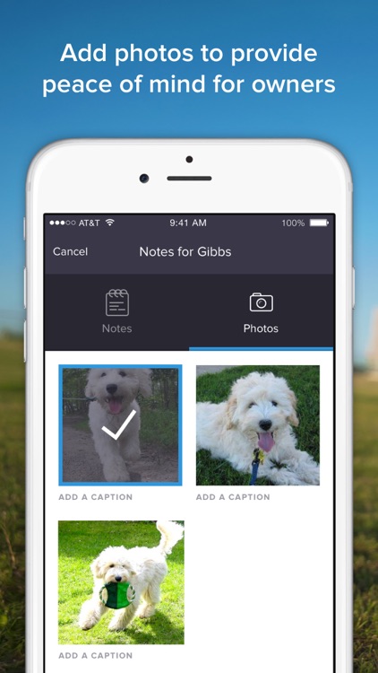 PetPath - Peace of Mind for Dog Walkers & Owners