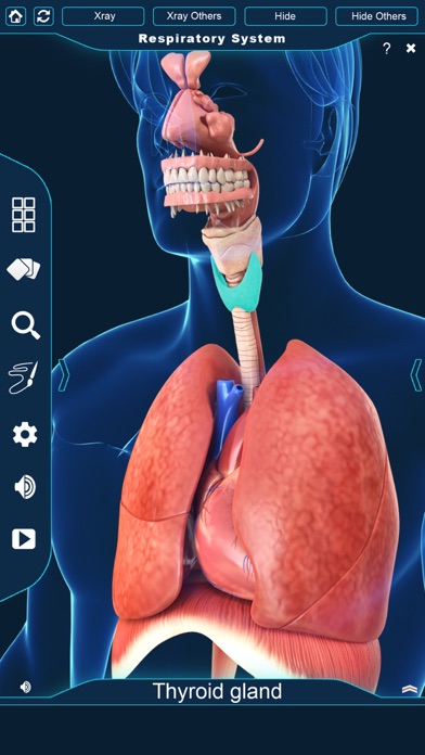 My Respiratory System Anatomy screenshot 3