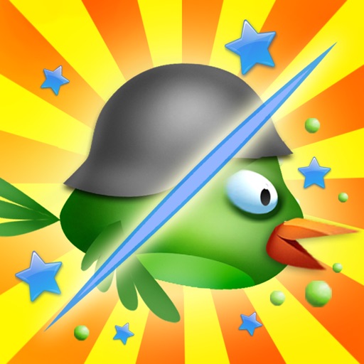 Bird Ninja icon