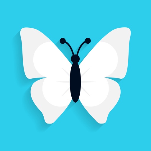 Bettrfly