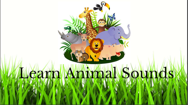 Learn Animal Sounds