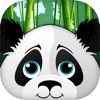 Panda Connect – most vibrant addictive brain challenging free puzzle match game