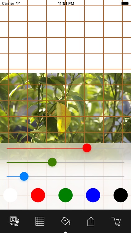 Drawing Grid