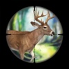 Big Deer Hunting Game : Sniper Forest Hunt Free