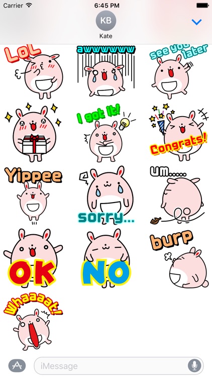 Fat Bunny ~Stickers for Daily Life~