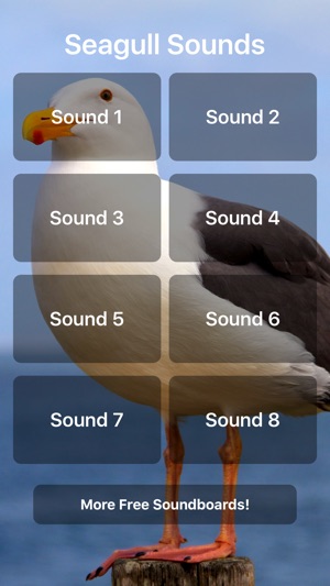 Seagull Sounds(圖1)-速報App