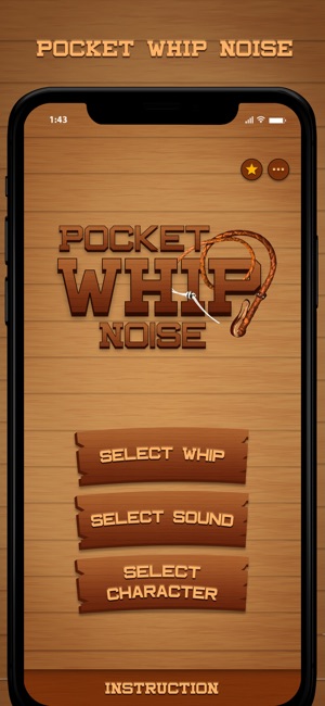 Pocket Whip Noise