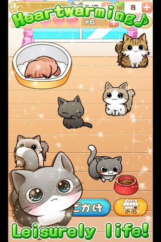 Cat Life - Cats & Kittens Games screenshot 2