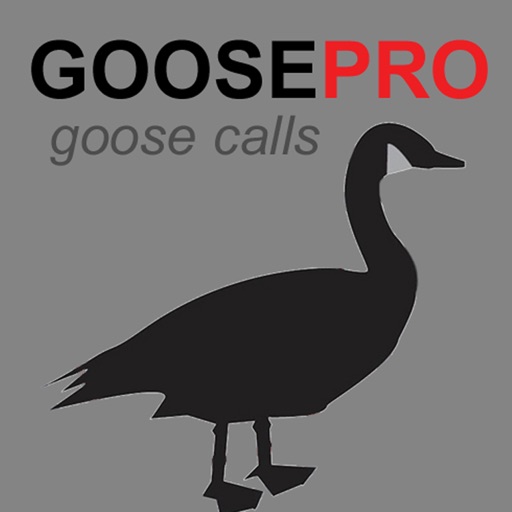 Canada Goose Call & Goose Sounds - BLUETOOTH COMPATIBLE