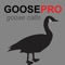 Goose calls and goose hunting calls with Canada goose sounds perfect for goose hunting