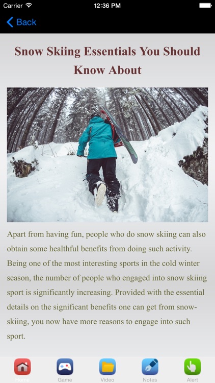 Skiing Tips For Beginners