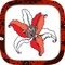 Flower Coloring Book - Different Flowers Color Pages To Paint And Make One’s Colorful Flies For Relaxation