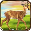 2016 Deer Hunt Pro Challenge Pro