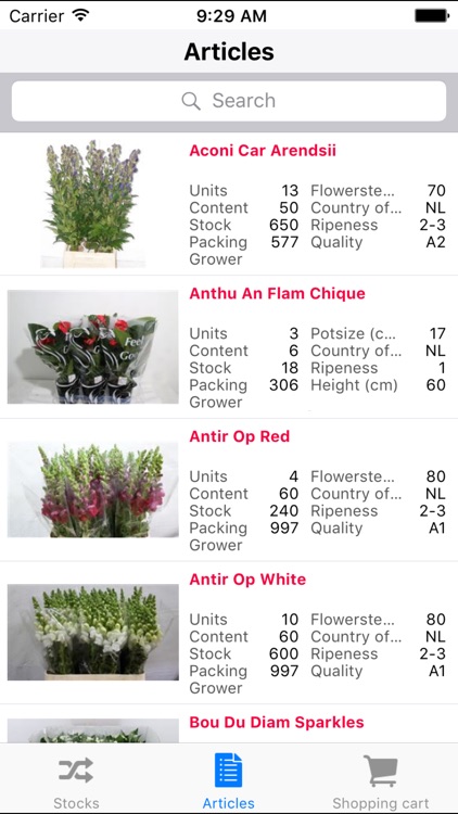 Auction Direct Flowers