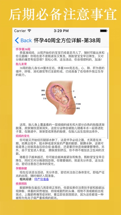 怀孕40周全方位详解