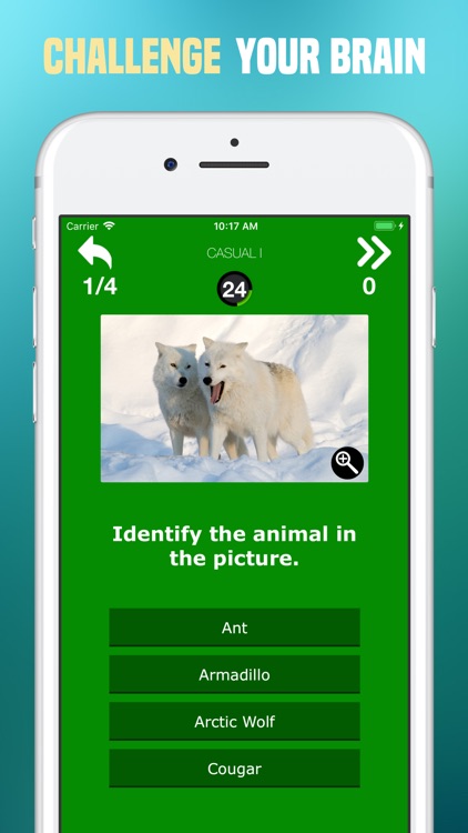 Animals Quiz - Pictures Trivia