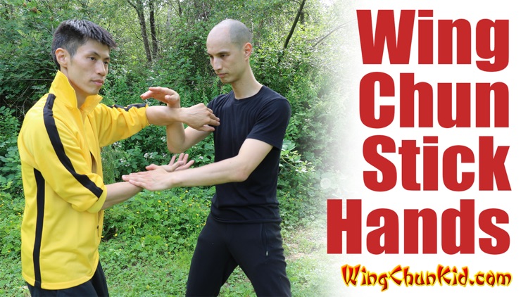 Wing Tsun Training Kung Fu Defence screenshot-3