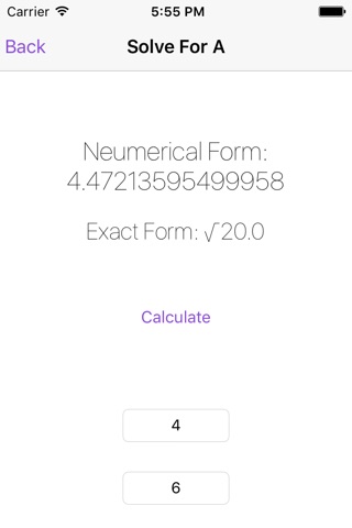 Pythagorean Theorem Calculator screenshot 3