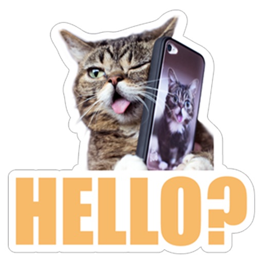 Felis Catus Kitty Sticker icon