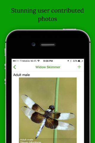 Dragonfly Damselfly ID App screenshot 2
