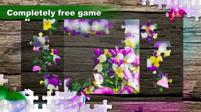 Jigsaw Puzzle: Flower game screenshot 4