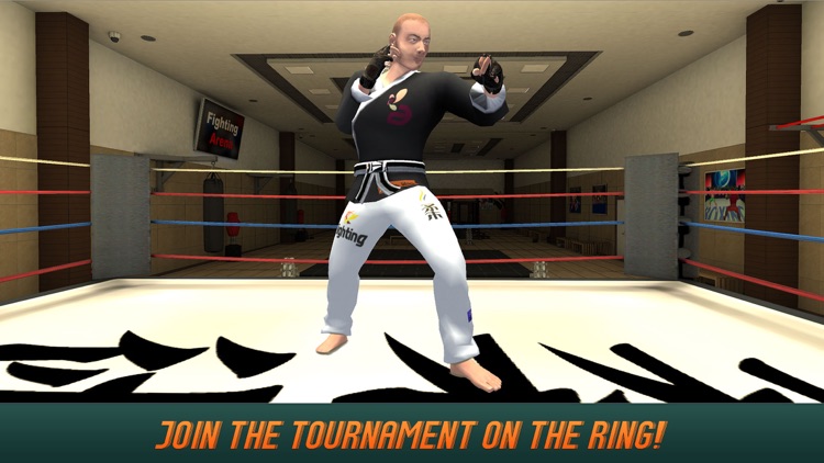 Karate Do Fighting Tiger 3D - 2 screenshot-3