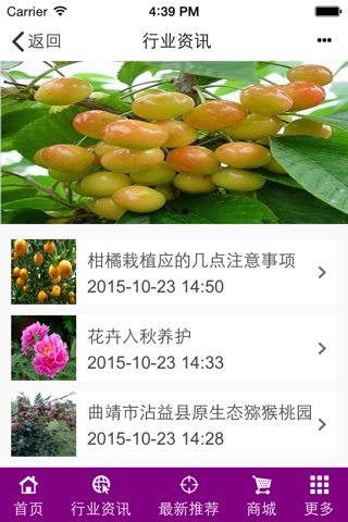 云南花果网 screenshot 3