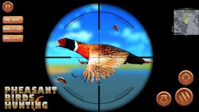 Pheasant Bird Hunting 18 screenshot 3