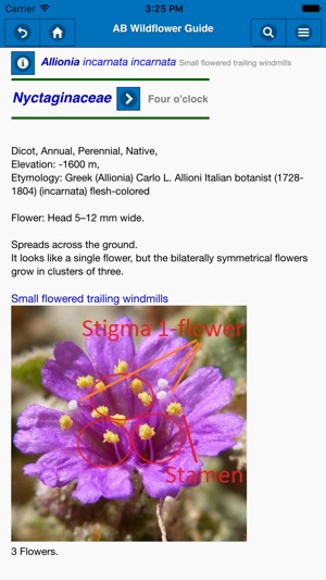 Anza-Borrego Wildflowers Lite(圖3)-速報App