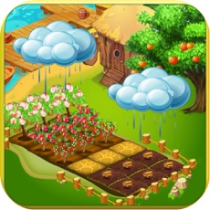 Activities of Garden Working - Land Farmer
