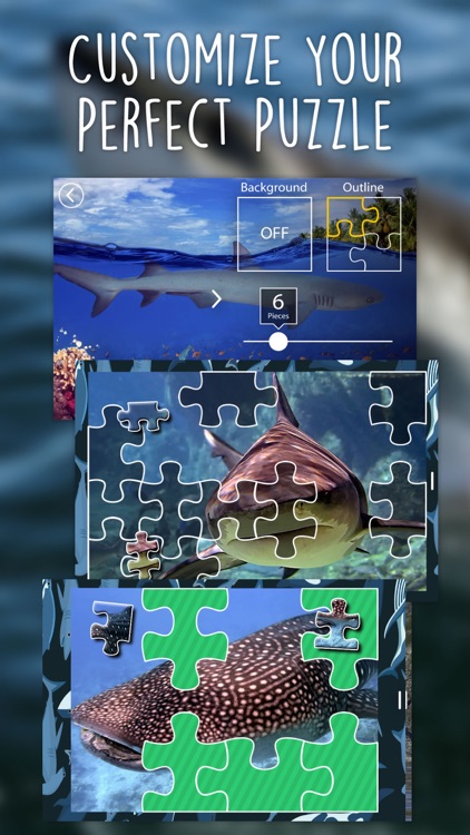 Shark Puzzles for Kids Jigsaw Wonder Collection